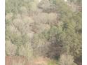 Aerial image of a wooded area at 295 Hiram Acworth Hwy, Hiram, GA 30141