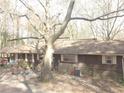 Ranch house with brown siding and large tree in front at 295 Hiram Acworth Highway Hwy, Hiram, GA 30141