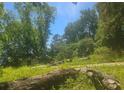 Wooded lot with fallen logs and a small shed in the background at 180 Wallace Dr, Atlanta, GA 30354