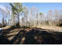 Wooded lot with cleared area, ready for new construction at 80 Indian Lake Dr, Hiram, GA 30141