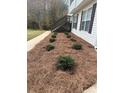 Landscaped yard with pine straw and shrubs at 360 Chestnut Dr, Covington, GA 30016