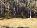 Wooded area with dry grass in the foreground at 515 Penny Ln, Loganville, GA 30052