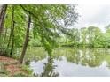 Peaceful lake view with lush green trees and tranquil water at 2911 Bentwood Dr, Marietta, GA 30062