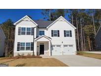 Two-story white house with gray roof, two-car garage, and landscaped lawn at 278 Friendship Oak Way, Hampton, GA 30228