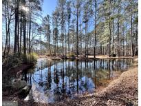 Spacious home nestled on a wooded lot with a pond at 779 Dial Mill Rd, Oxford, GA 30054