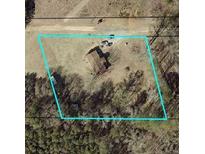House and lot aerial view at Sr 42 Hwy, Locust Grove, GA 30248