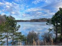 Serene lake view with lush greenery at 205 Lakeside Pl, Canton, GA 30114