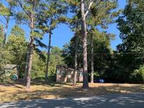 Cozy ranch house nestled among tall trees on a spacious lot at 272 Thompson St, Alpharetta, GA 30009