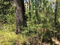 Wooded area with a trail marker indicating lot 2168 at 2165 Old Salem Se Rd, Conyers, GA 30013