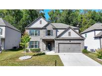 Preserve At Hamilton Mill Buford Georgia Homes For Sale