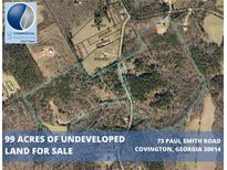 99 acres of undeveloped land in Covington, Georgia at 73 Paul Smith Rd, Covington, GA 30014