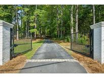 Long private driveway with gated entrance at 7350 Ono Rd, Palmetto, GA 30268