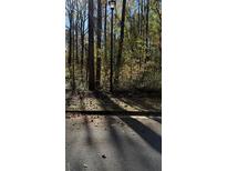 Wooded lot with mature trees and a paved road at Lot 15 Fairview Springs Dr, Ellenwood, GA 30284