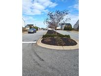 Landscaped entrance to a residential community with homes and a tree-lined street at 2513 Colin Pl, Mcdonough, GA 30253