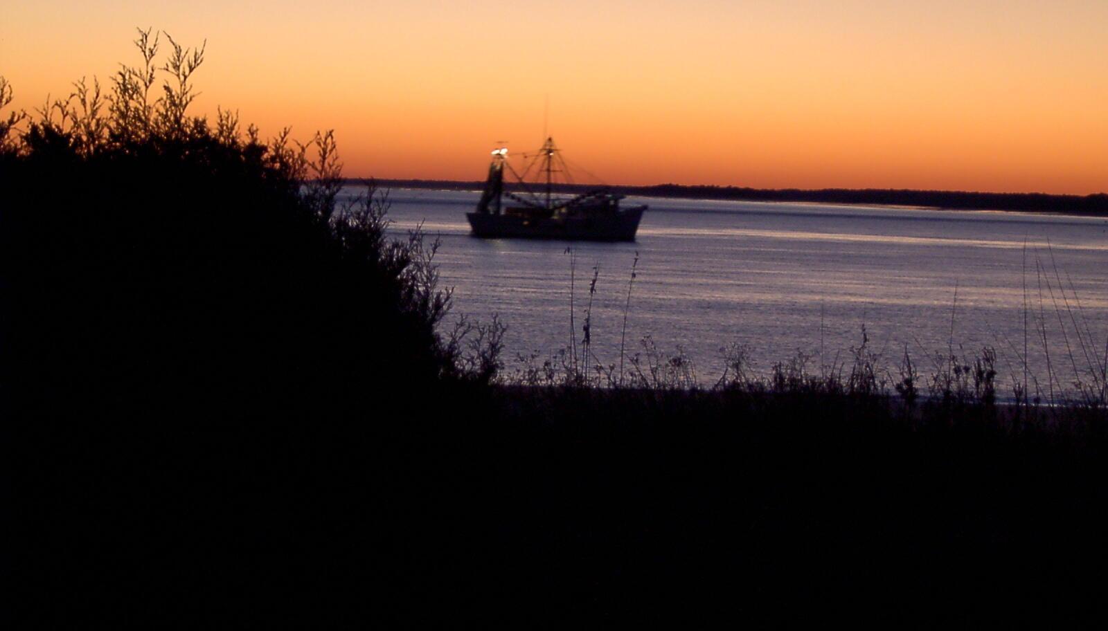 Photo #48