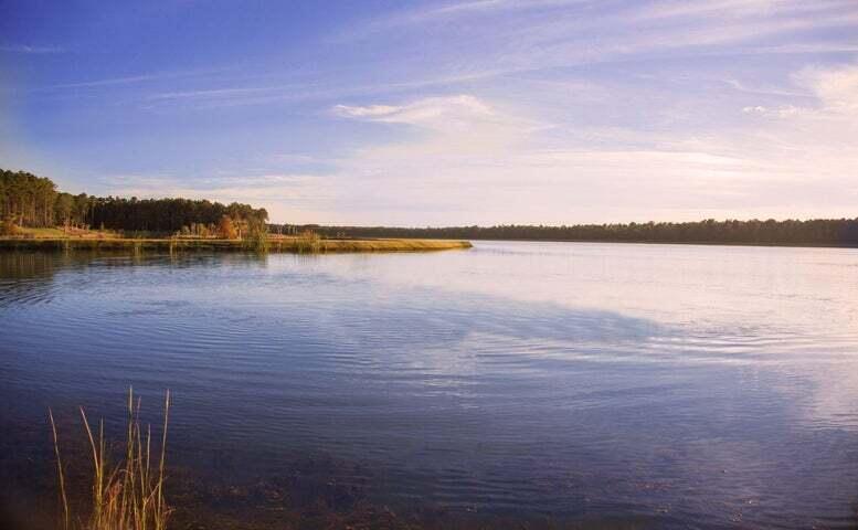 Photo #6