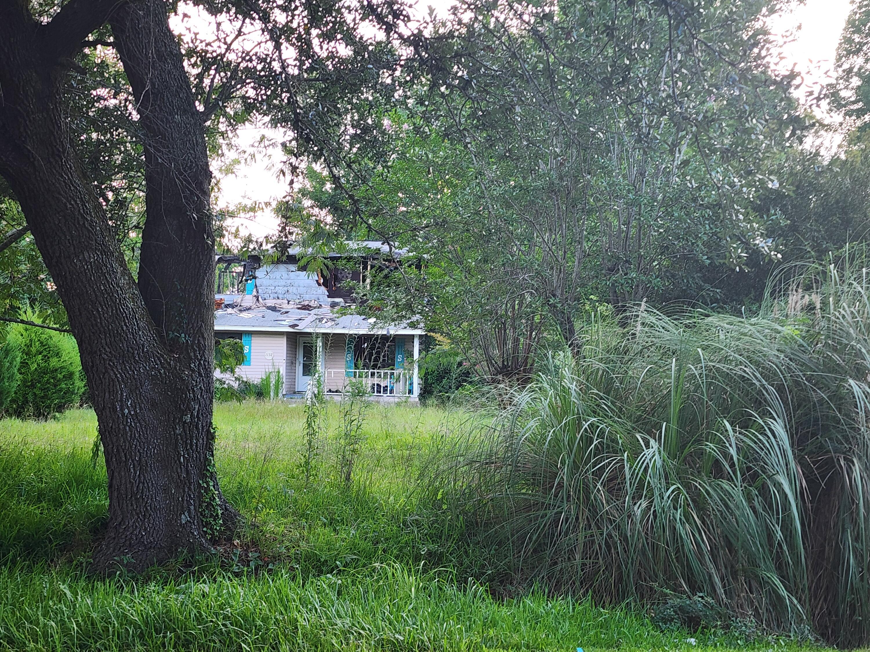 Photo #2