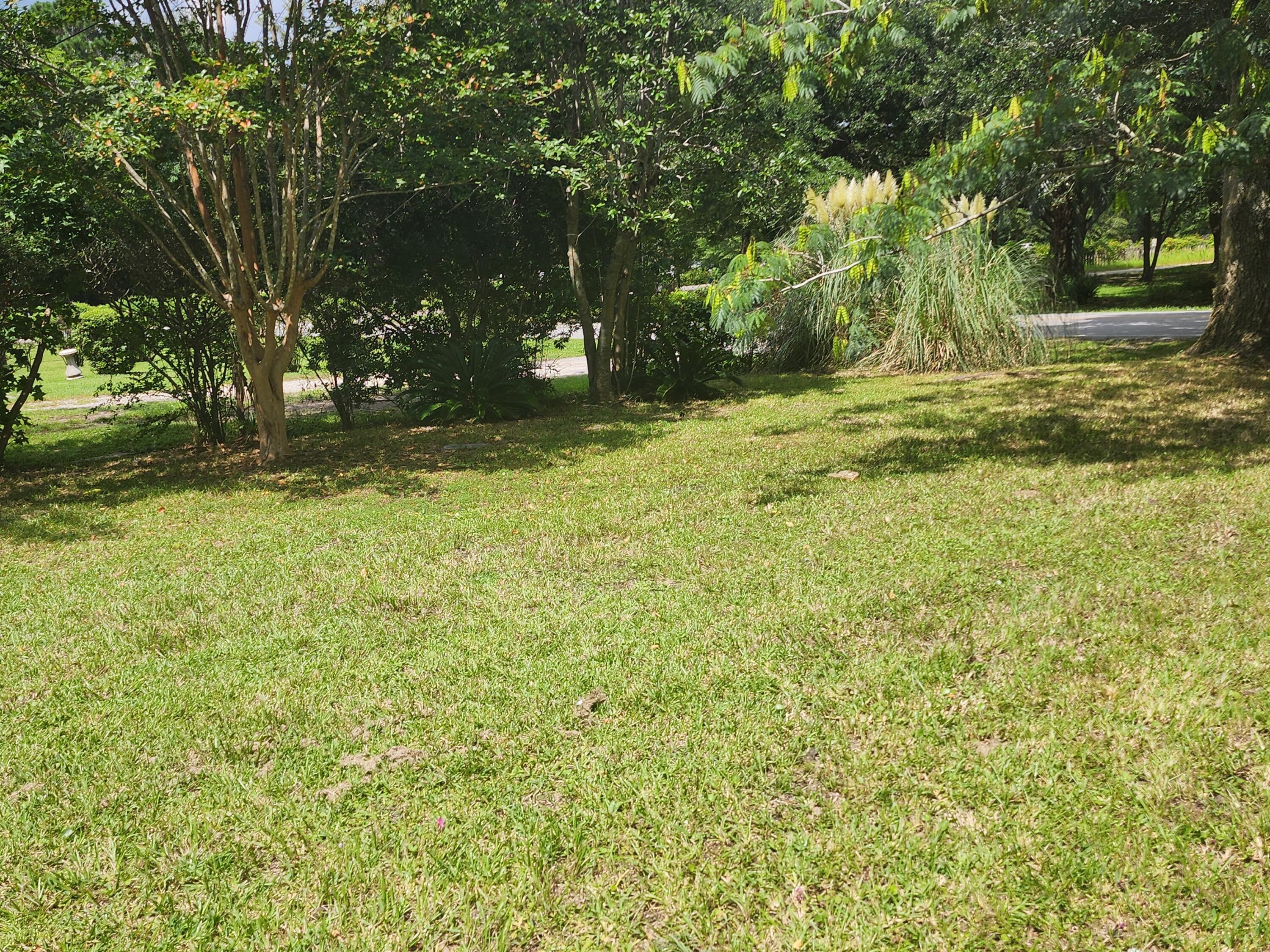 Photo #4