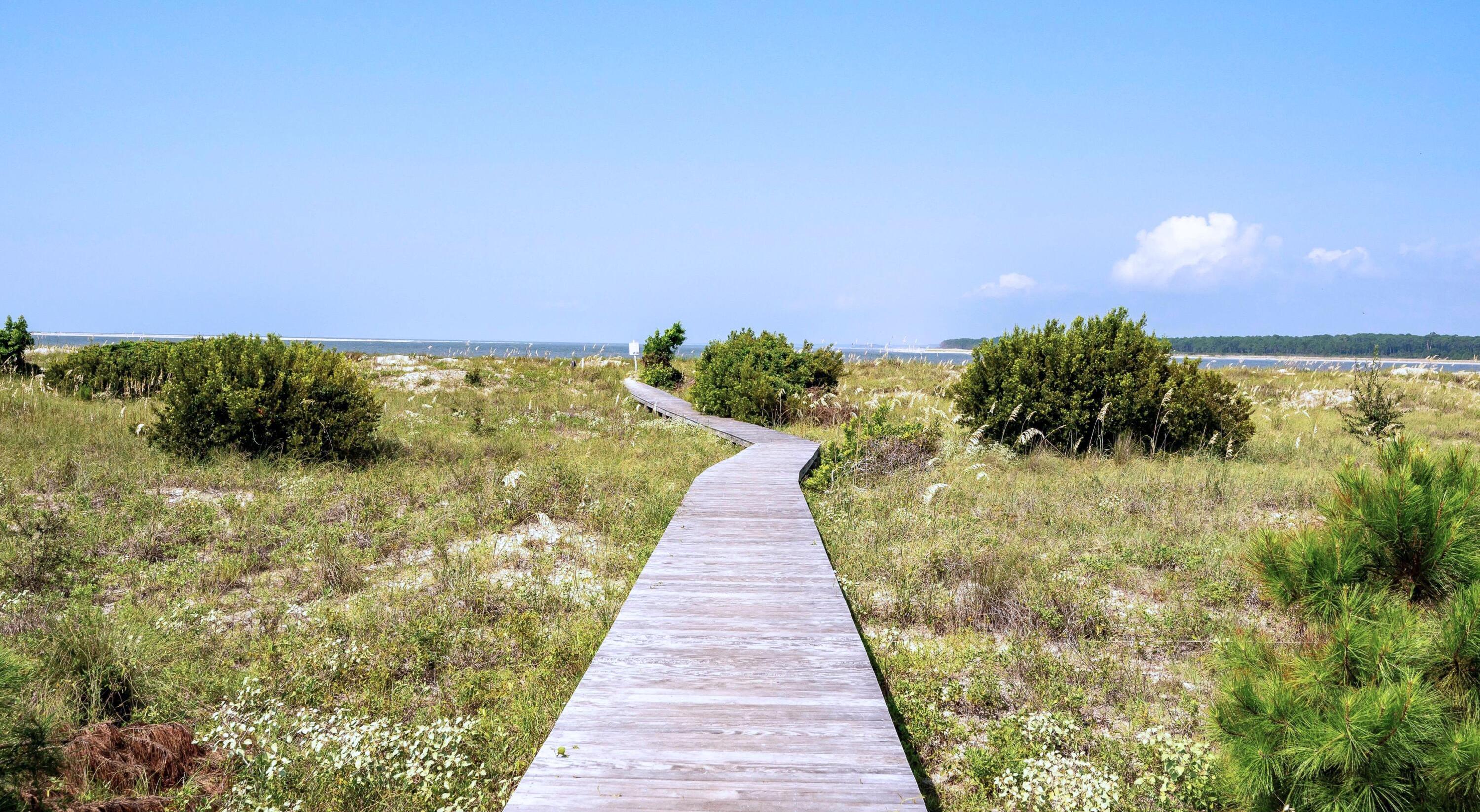 Photo #36