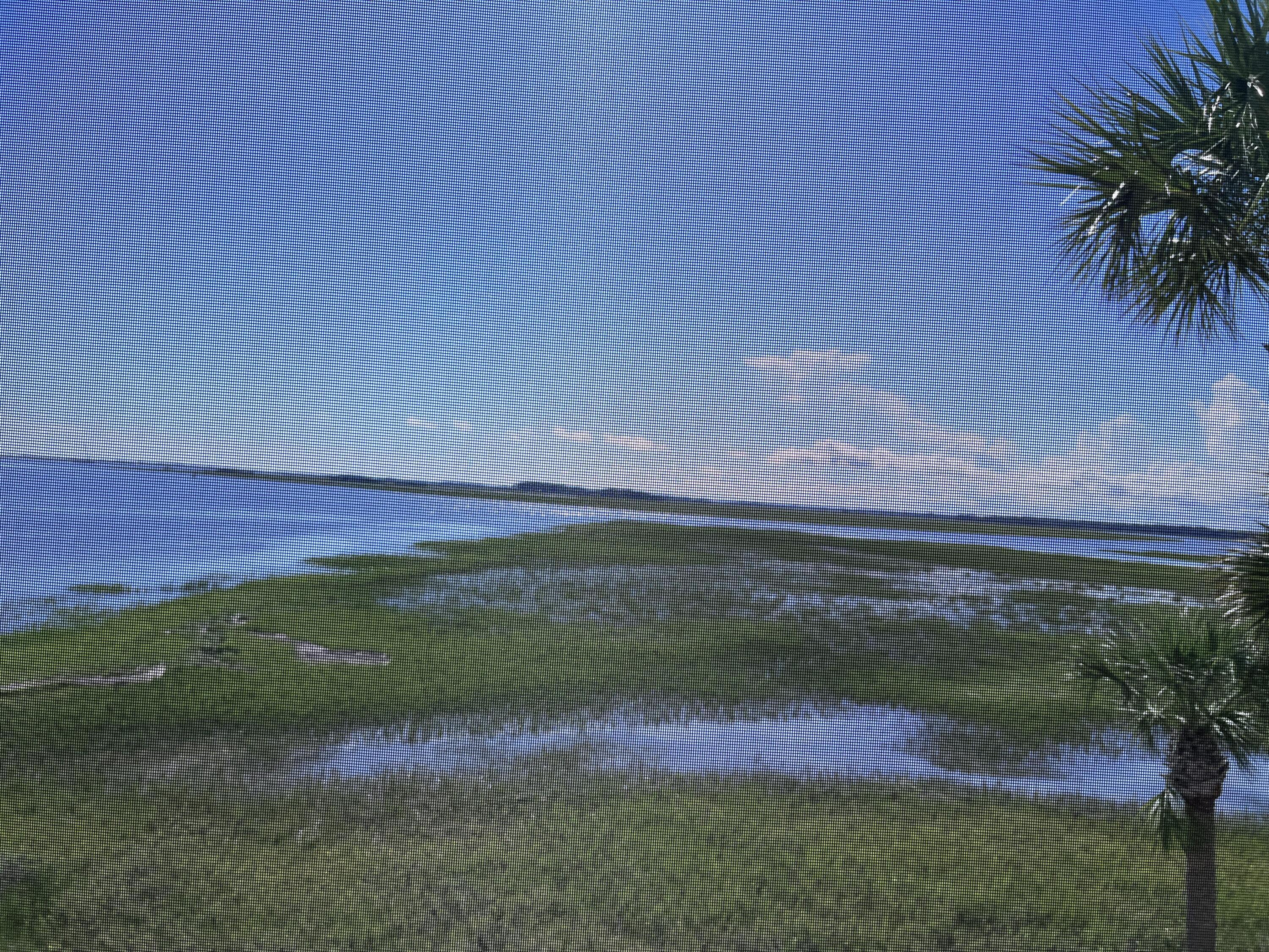 Photo #23