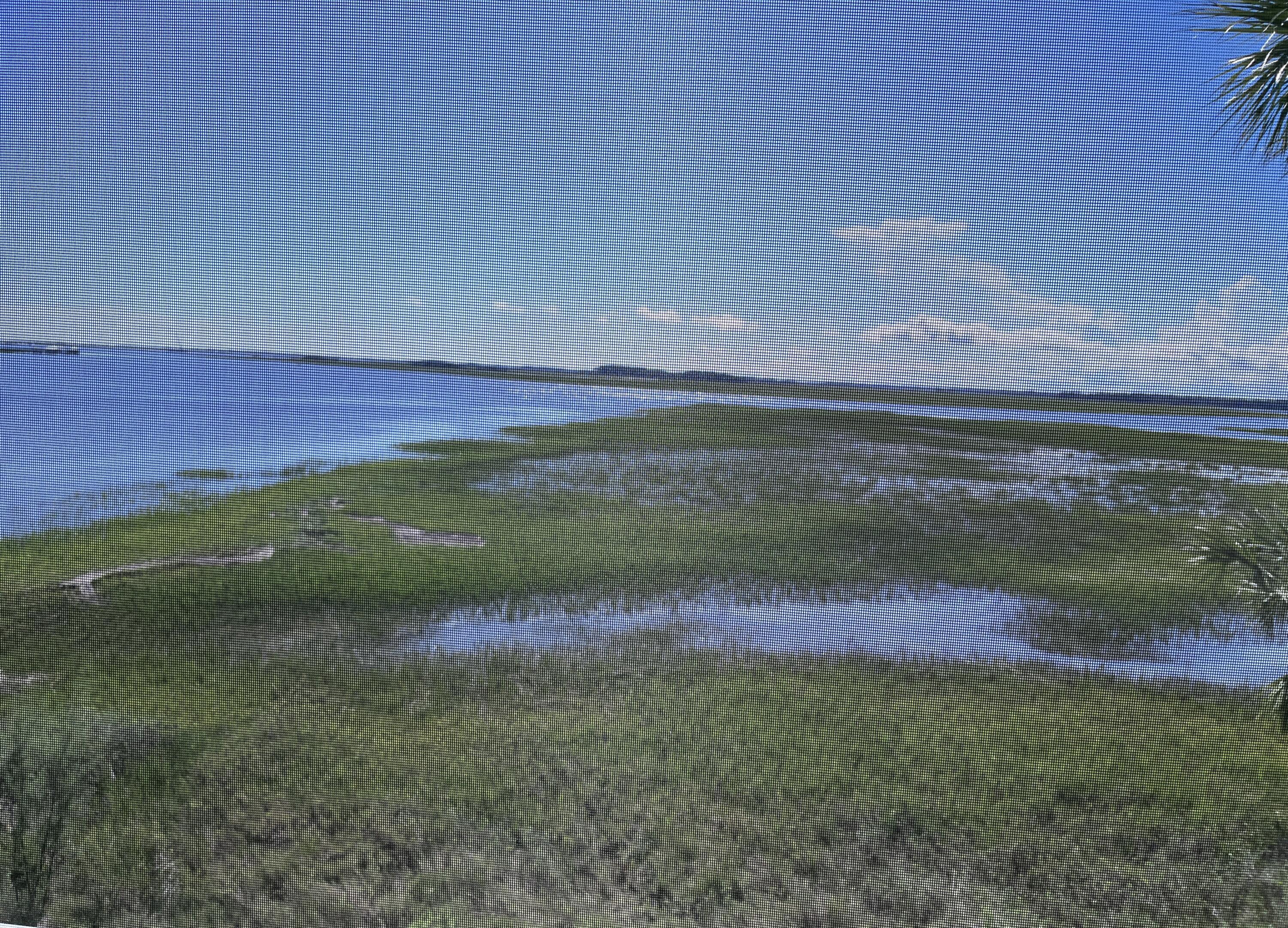 Photo #26