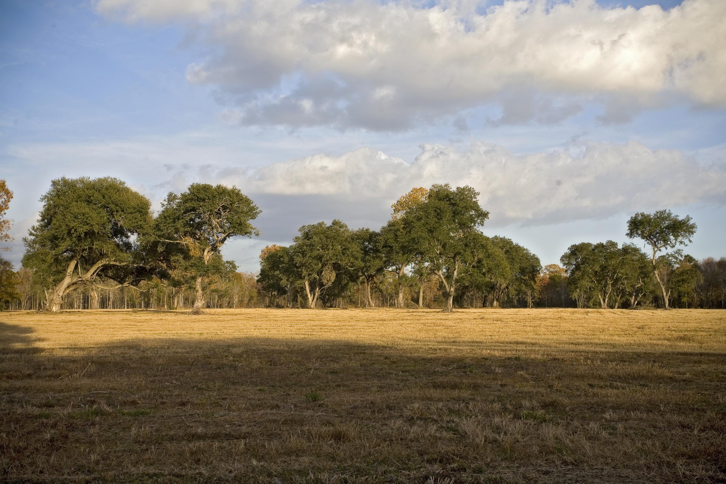 Photo #27