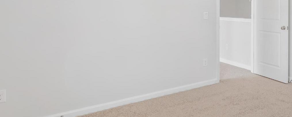Photo #17