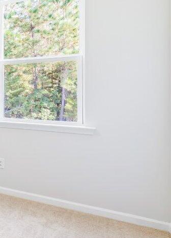 Photo #17