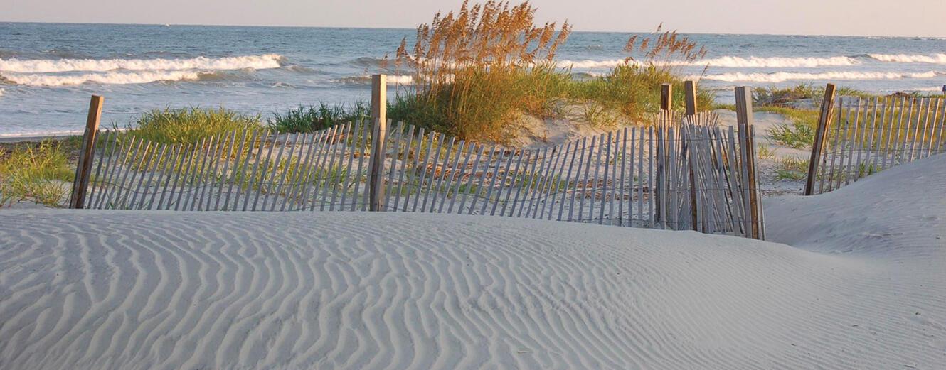 Photo #85