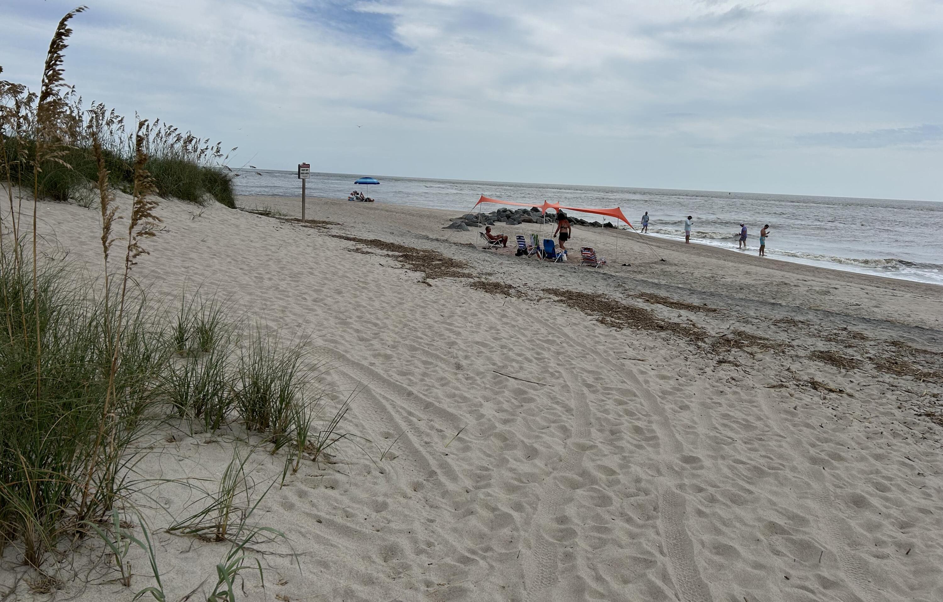 Photo #45