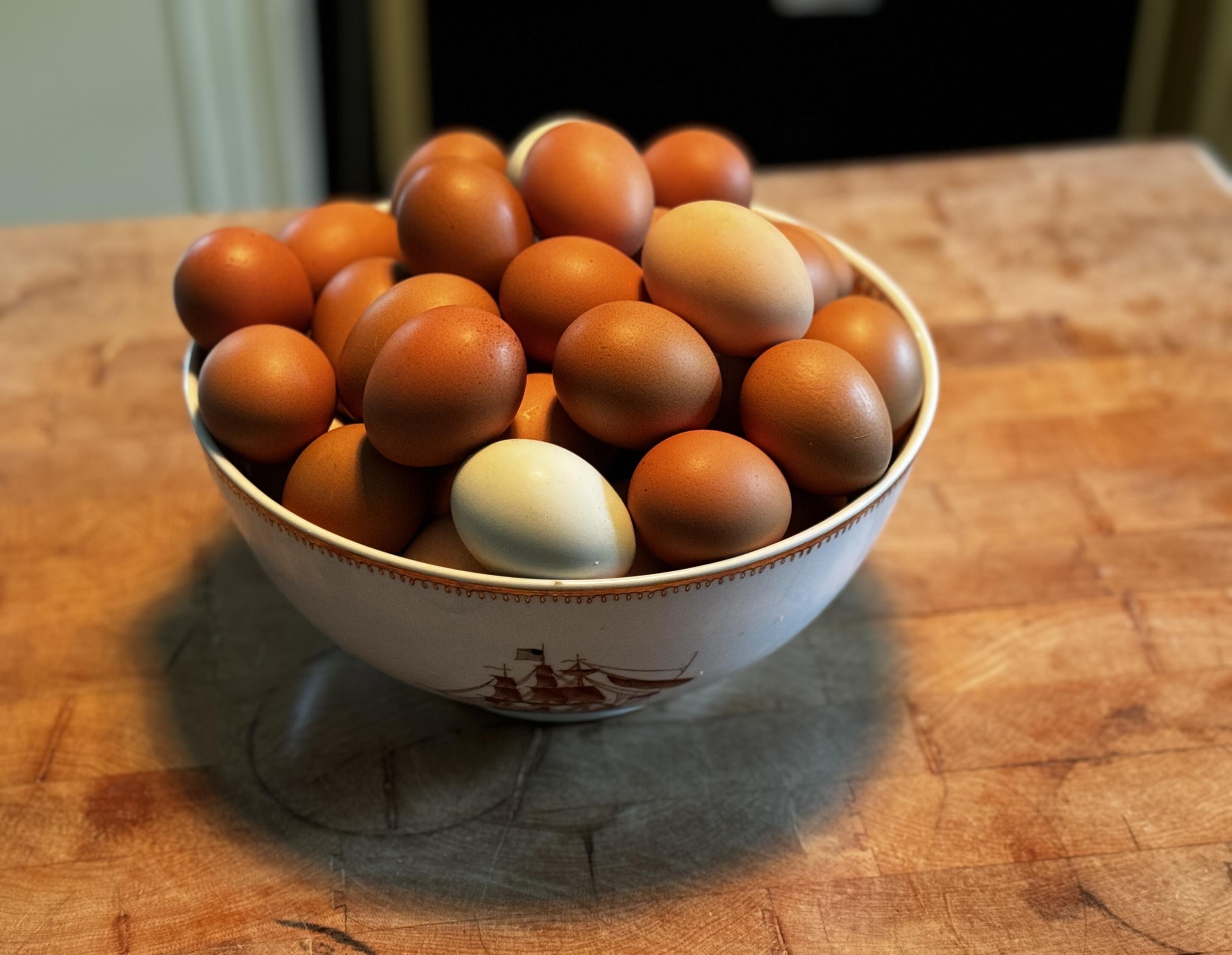 Photo #37