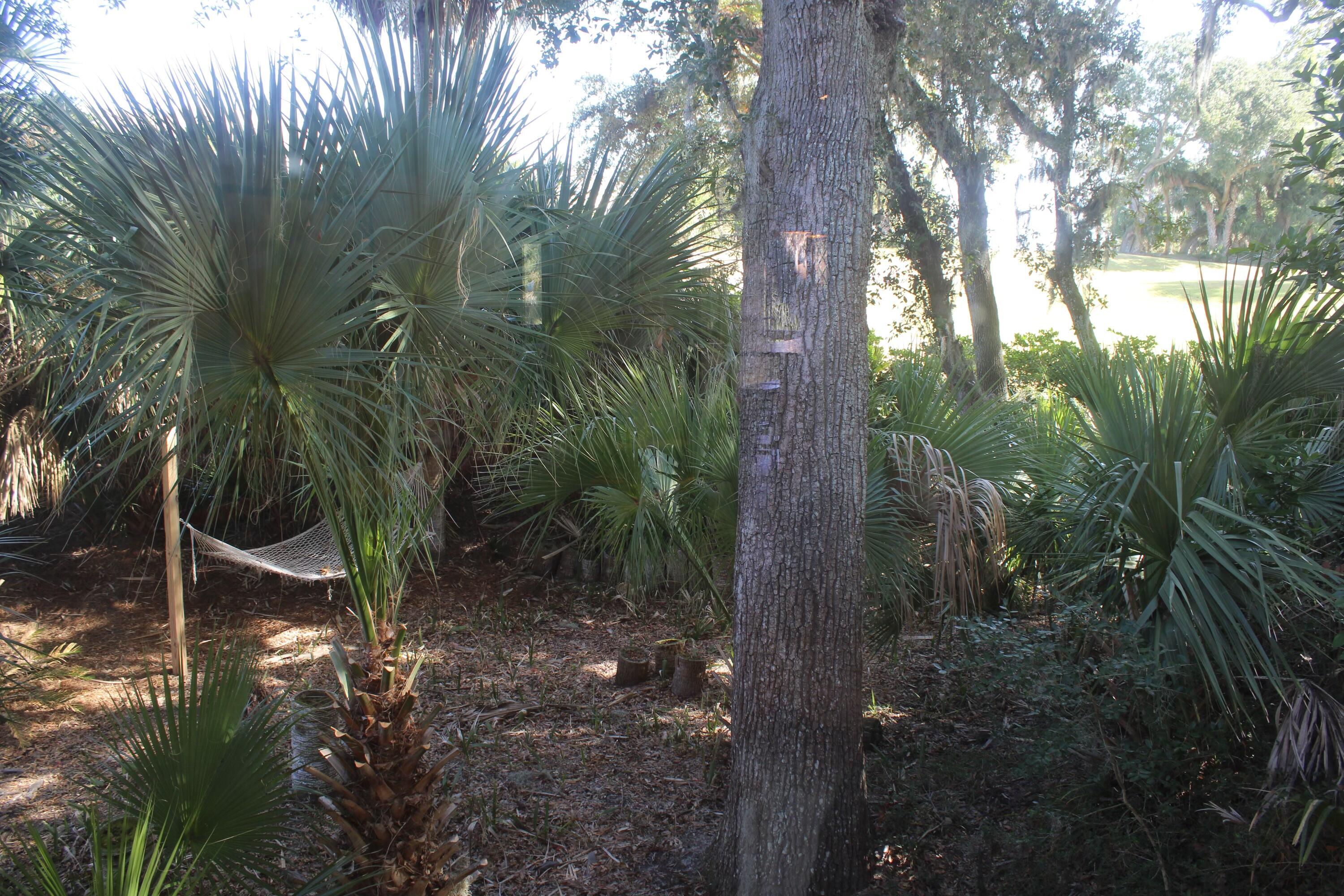 Photo #13