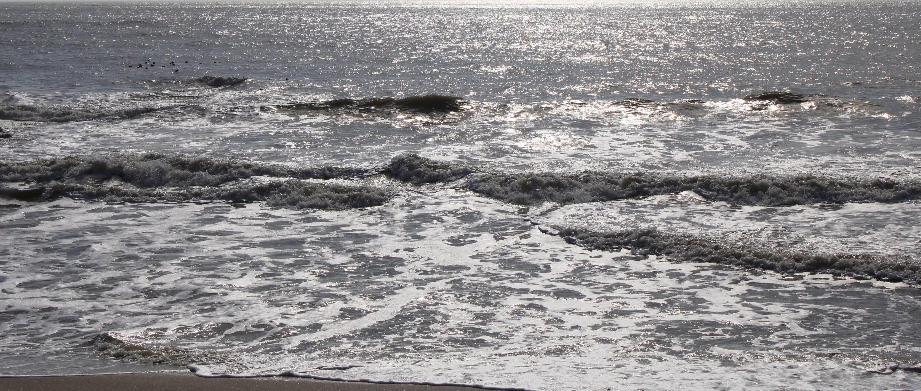 Photo #19