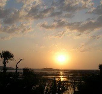 Photo #30