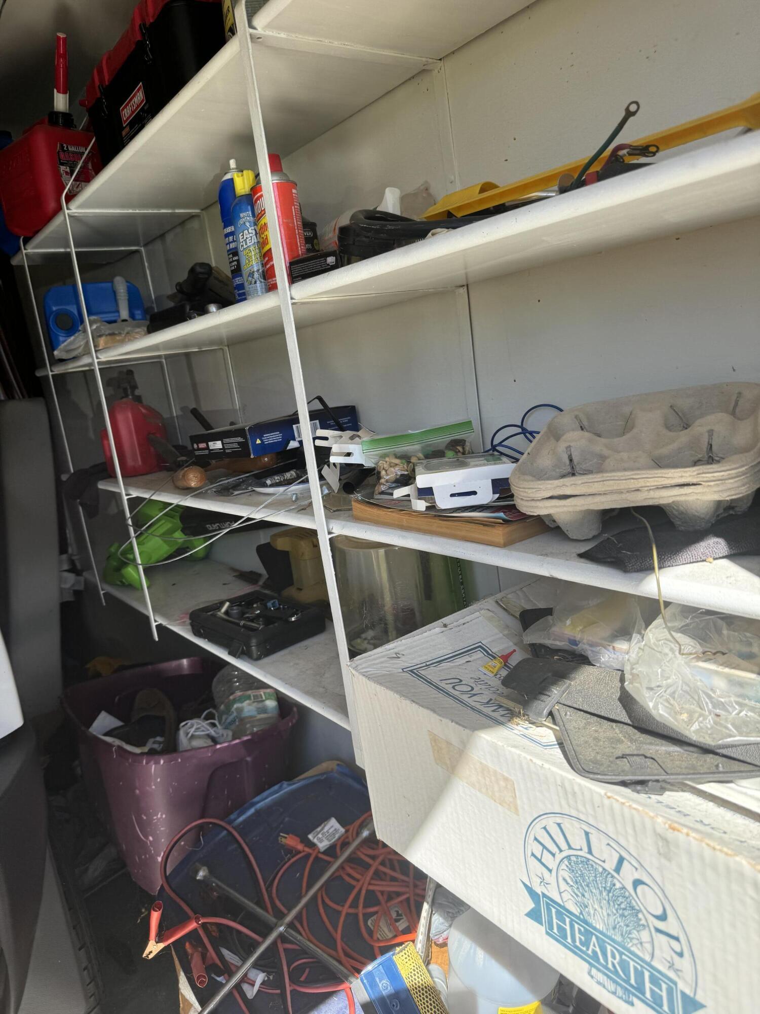 Photo #11