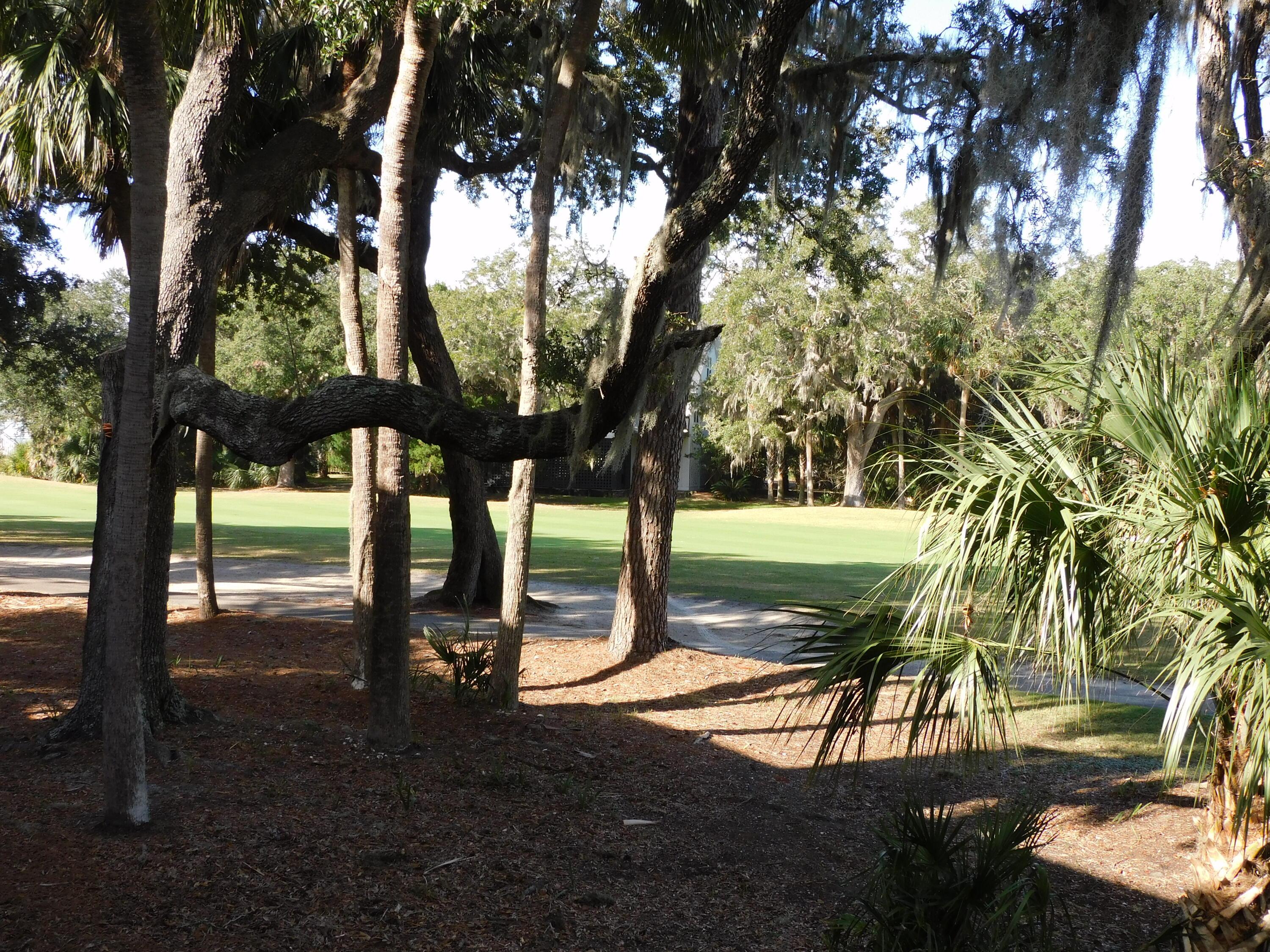Photo #4