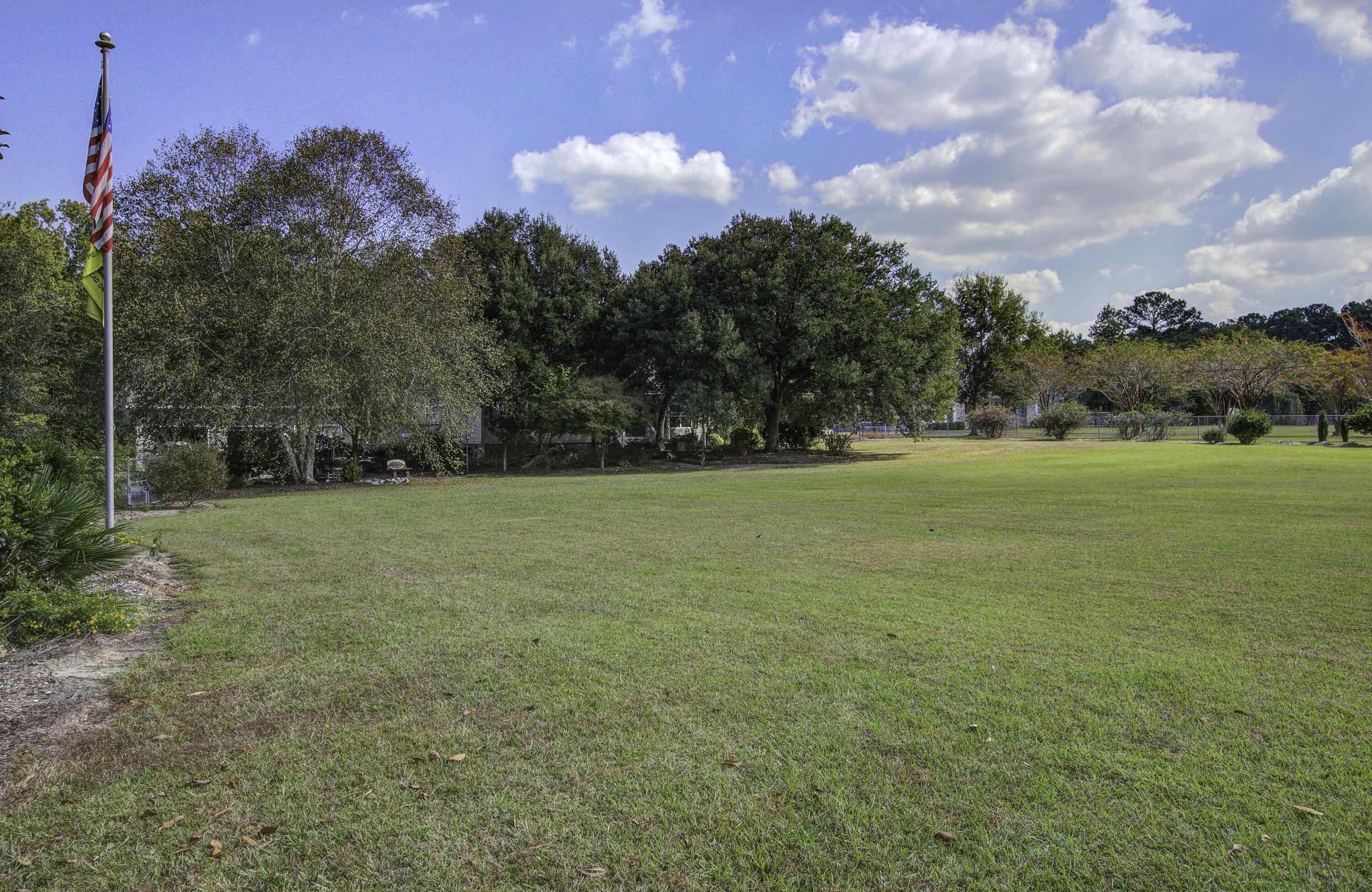 Photo #55