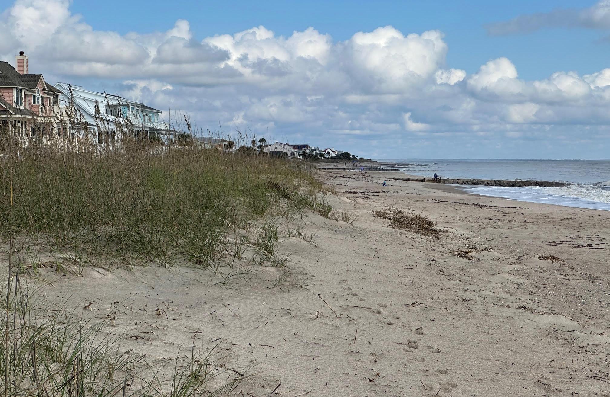 Photo #41