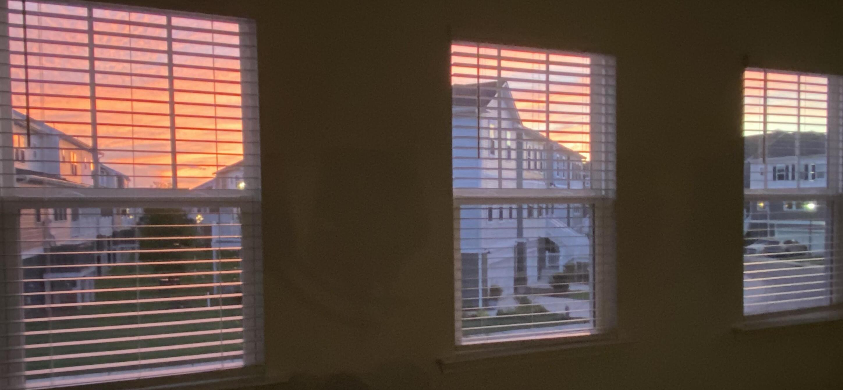 Photo #42