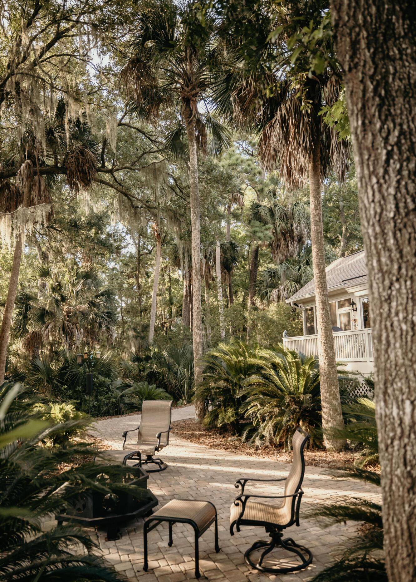 Photo #42
