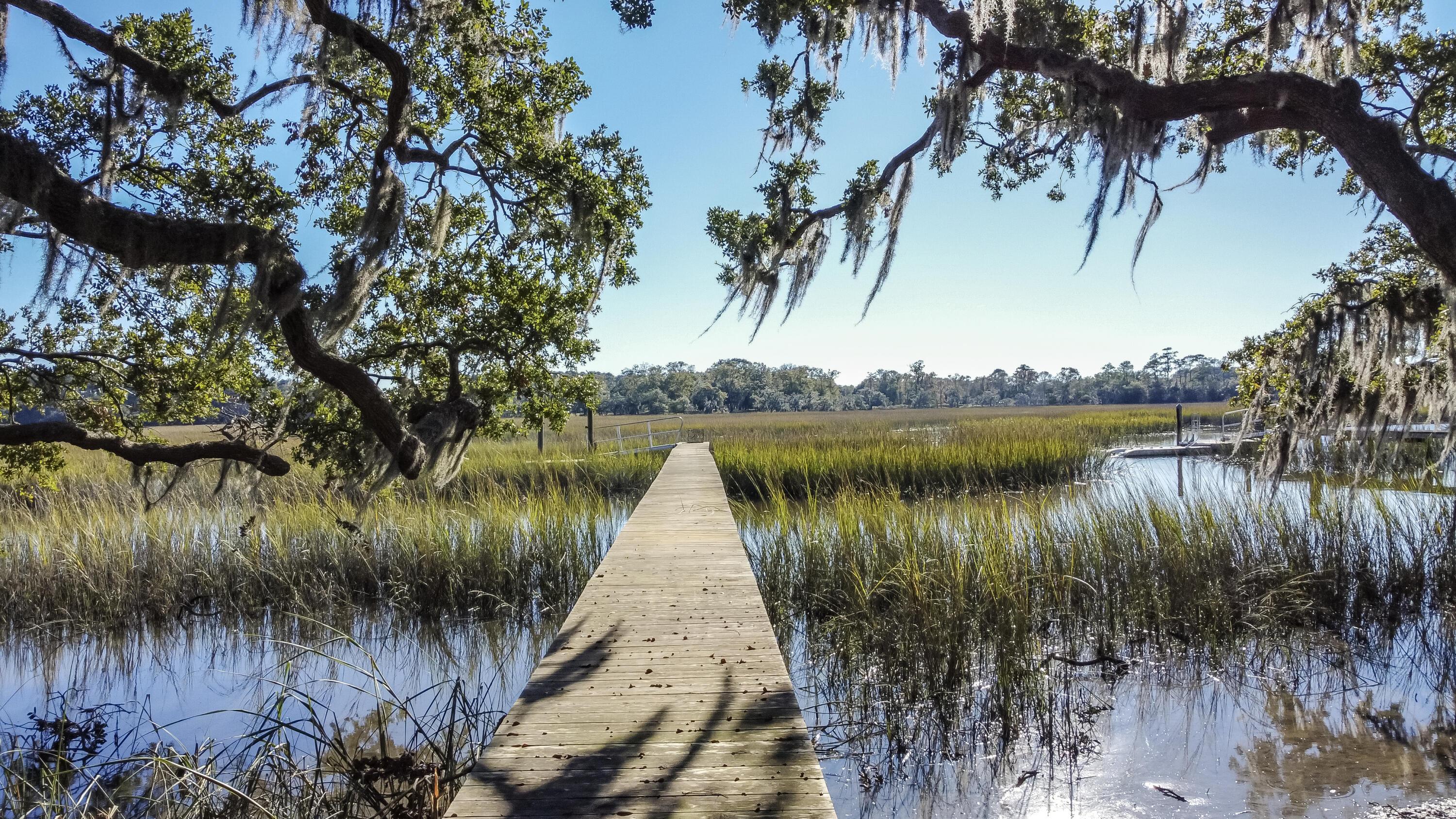 Photo #55