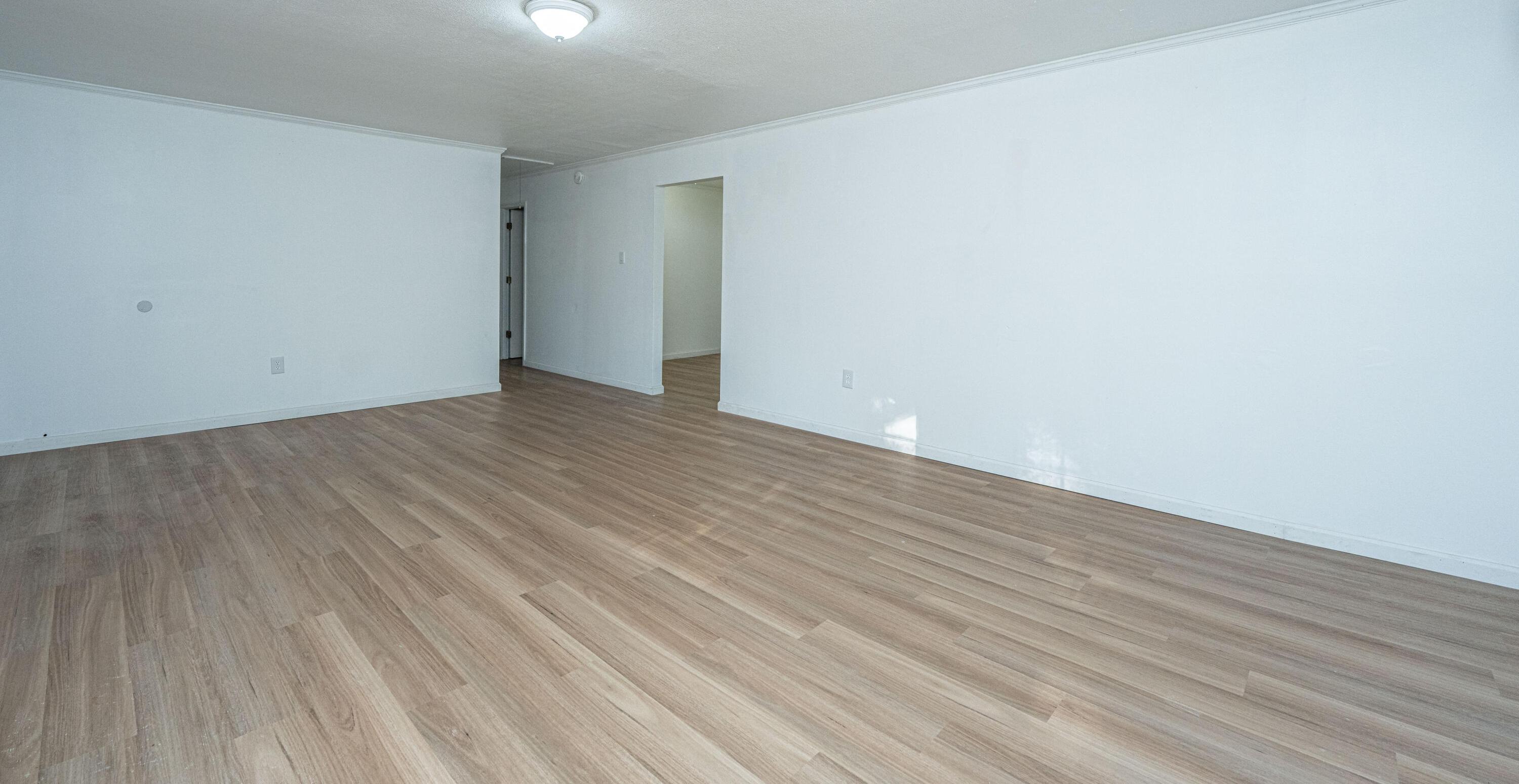 Photo #6