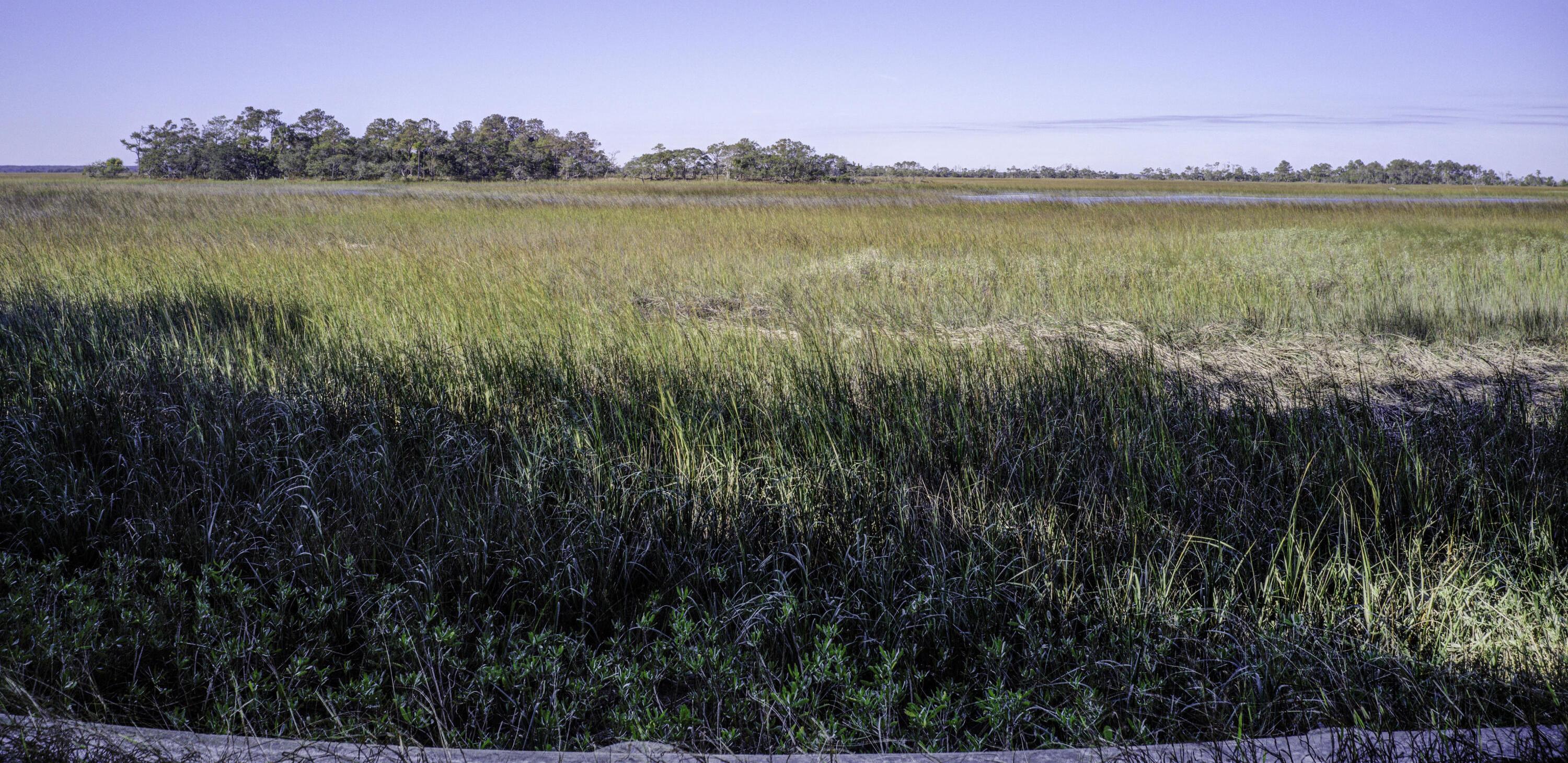 Photo #24