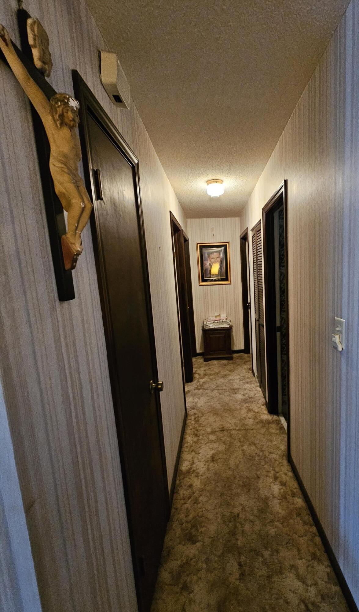 Photo #14
