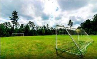 Photo #11
