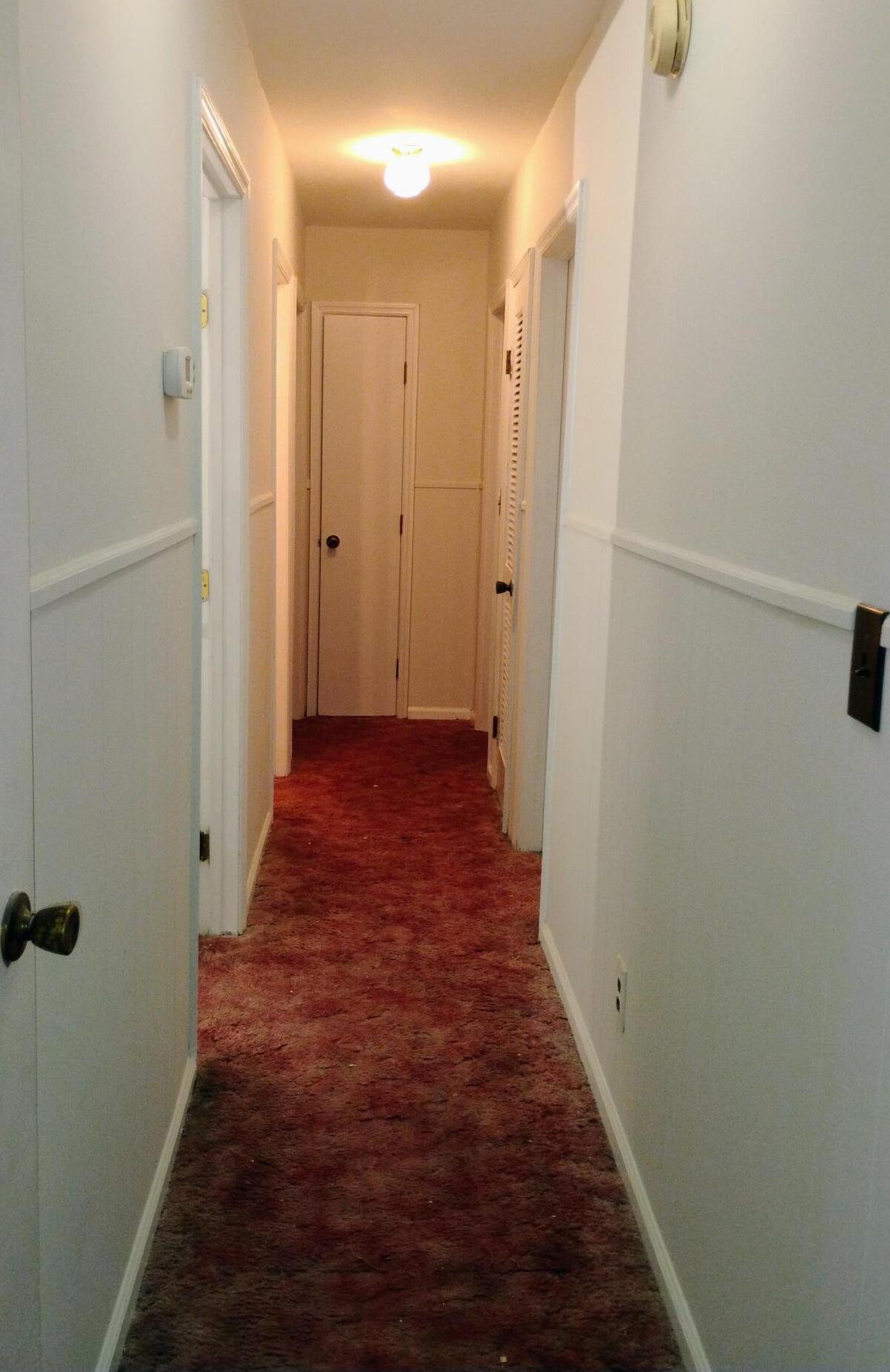 Photo #14