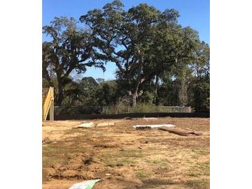 Large backyard with mature trees and open space at 1153 Oak Bluff Ave, Charleston, SC 29492