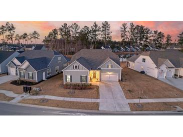 Photo one of 383 Tupelo Lake Dr Summerville  29486 | MLS 24004865