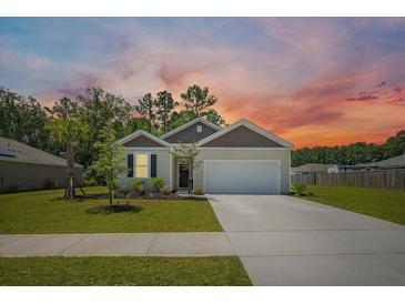 Photo one of 407 Blue Elderberry Run Moncks Corner  29461 | MLS 24017310