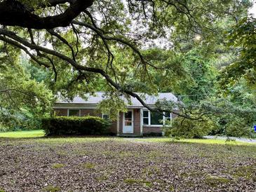 Brick ranch home nestled under large oak tree in a wooded lot at 1341 Witter St, Charleston, SC 29412